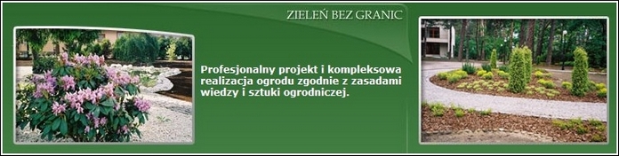 Zielen bez grannic